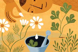 Image placeholder title None