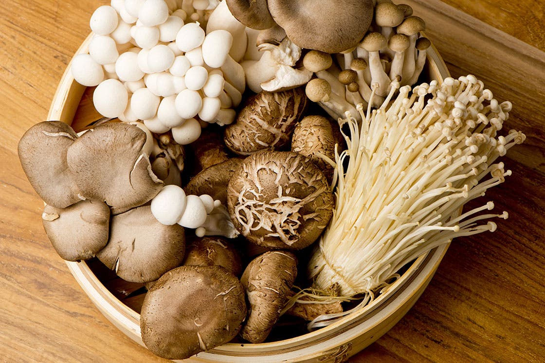 healing-foods-ingredient-mushrooms-2 None