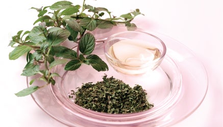 Healing Foods: Peppermint