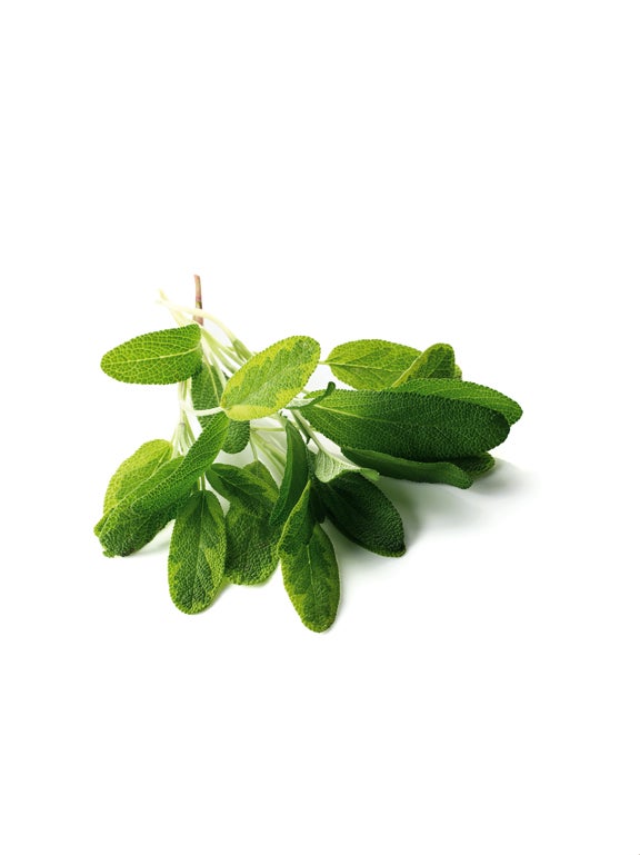 sage