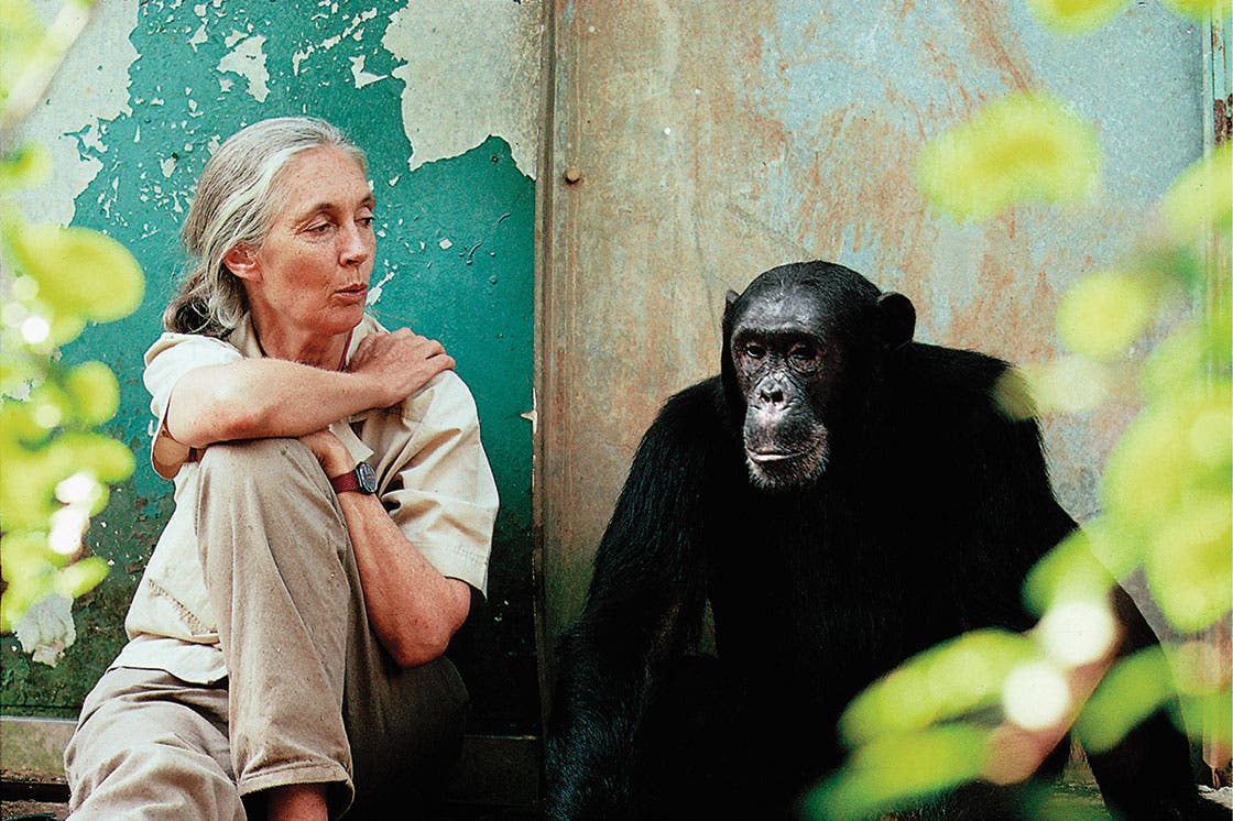 one-on-one-with-jane-goodall None