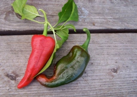 peppers Peppers