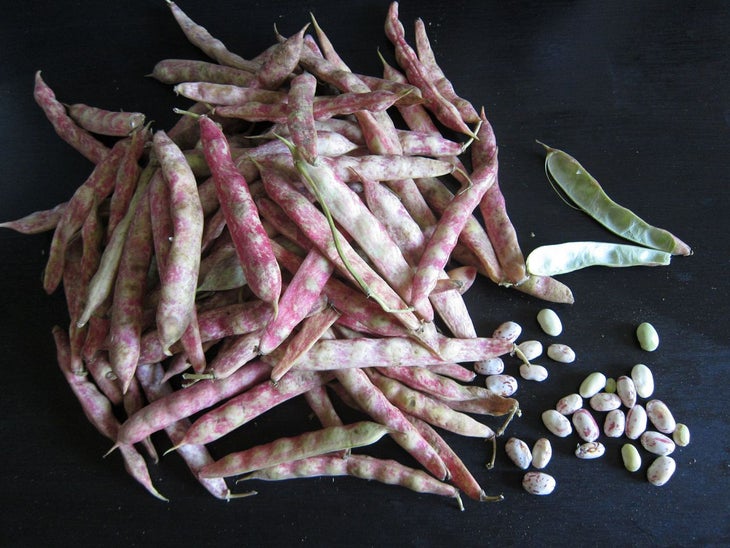 white beans None