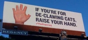 catbillboard None