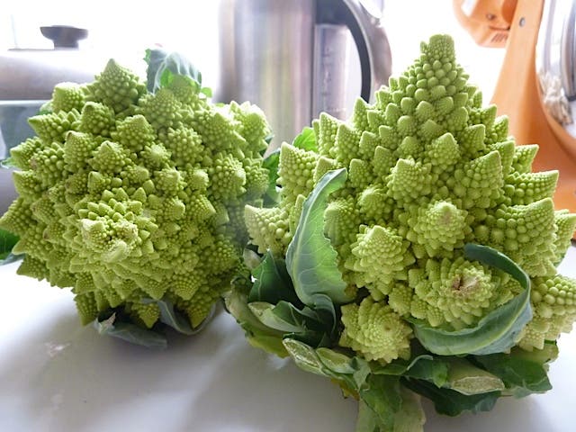 romanesco None