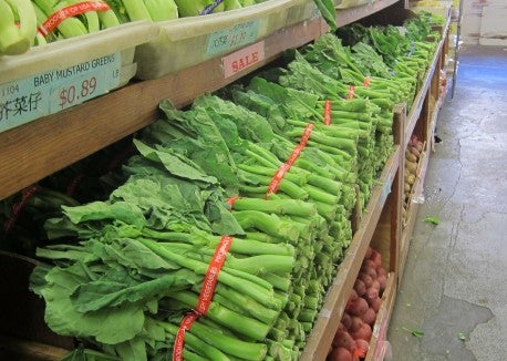 gai lan 2 None