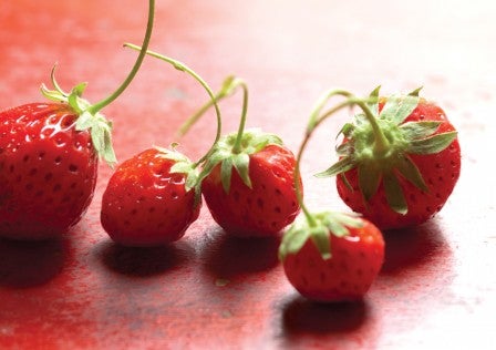 Strawberries None