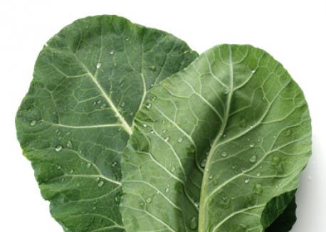 Image placeholder title None