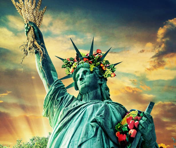 Image placeholder title None