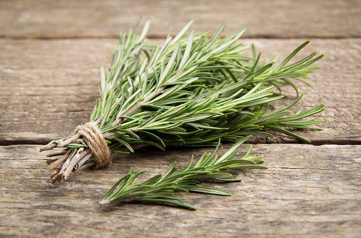 Rosemary for Immune System None