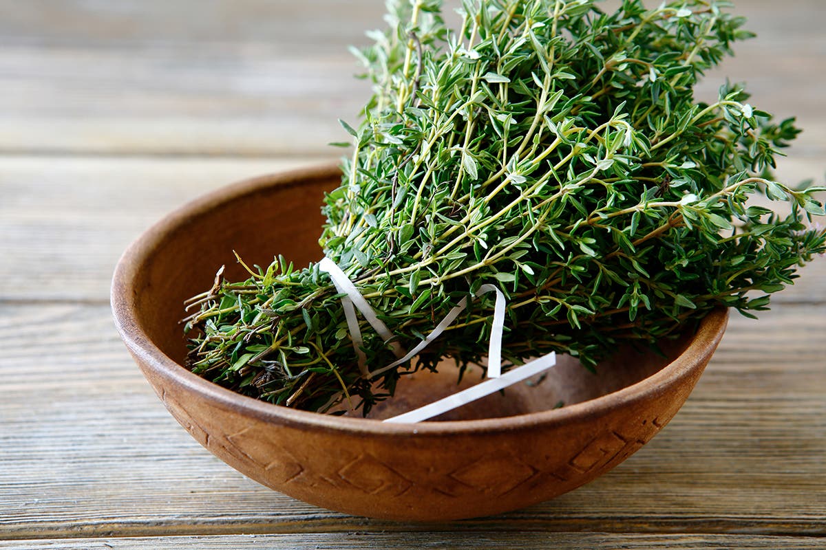 thyme as immune booster None