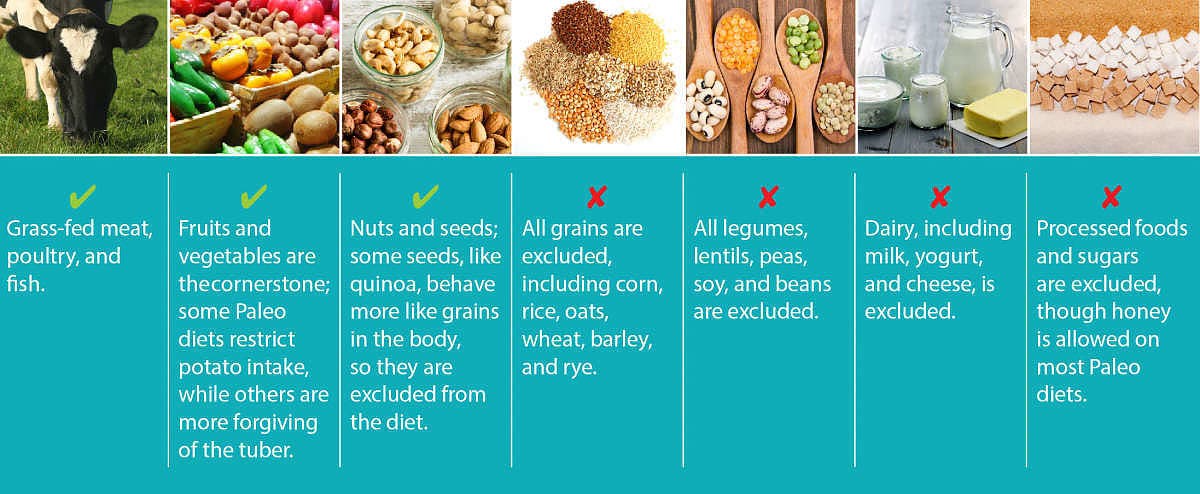 paleo-food-groups None