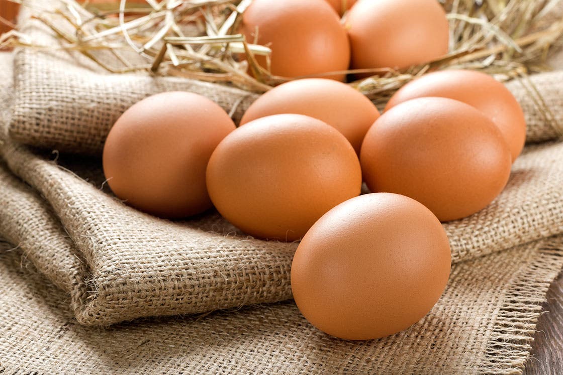 7-top-protein-sources-for-vegetarians-4---eggs None