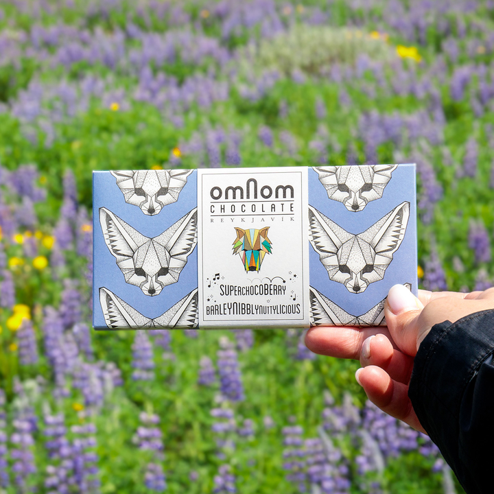 KP6A2350-cropped-720x720-083efcf2-2c20-4599-a793-810573b638ec None