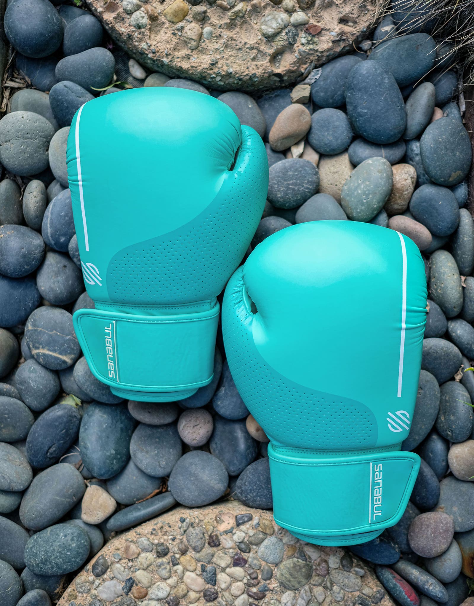 Sanabul Boxing Gloves