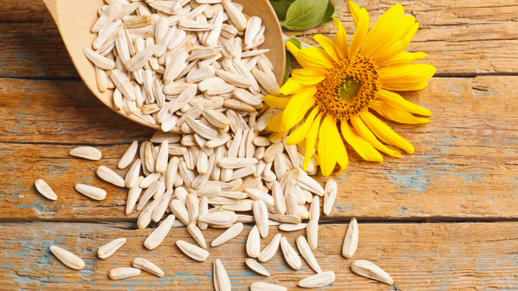 sunflower seeds