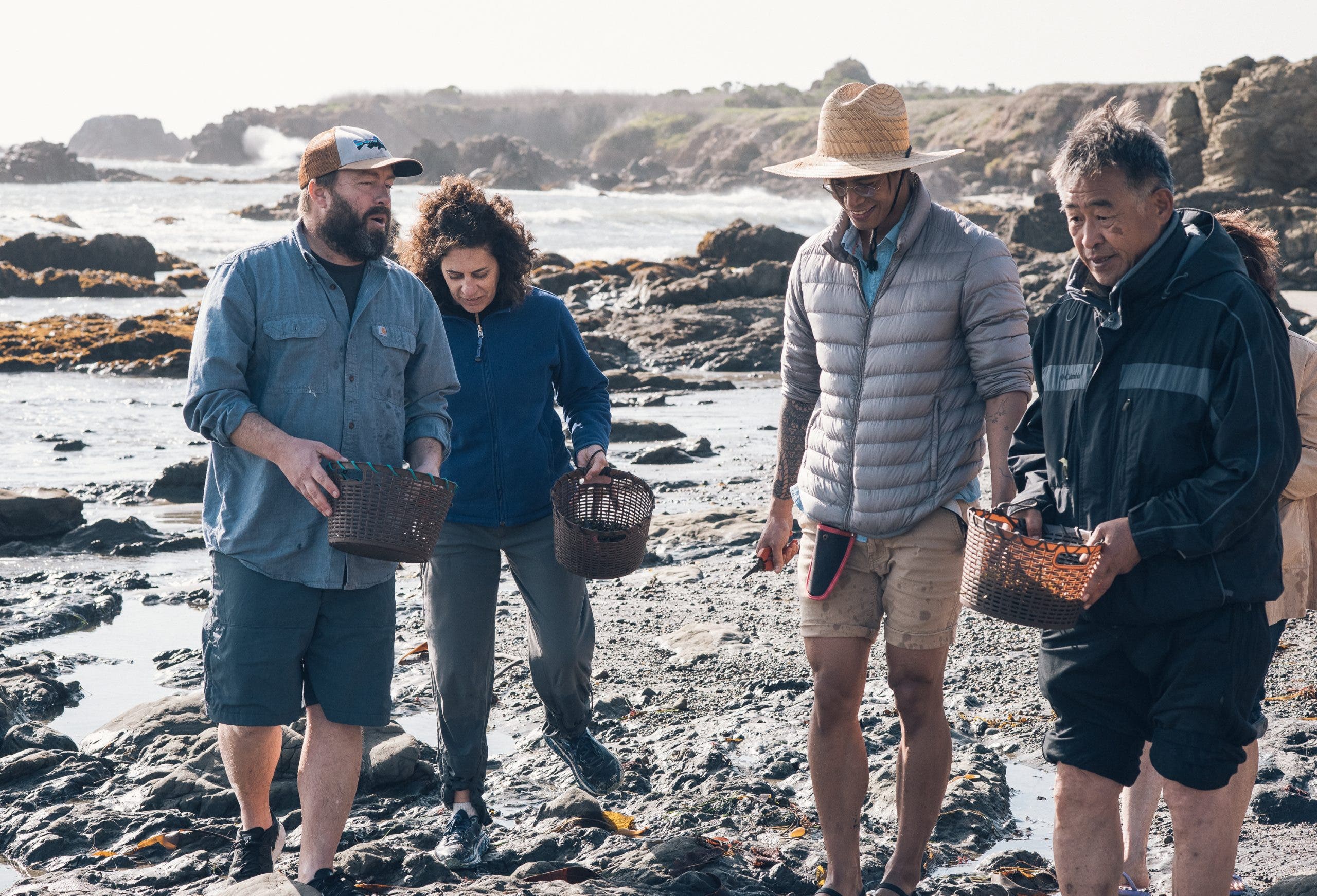 a seaweed foraging class