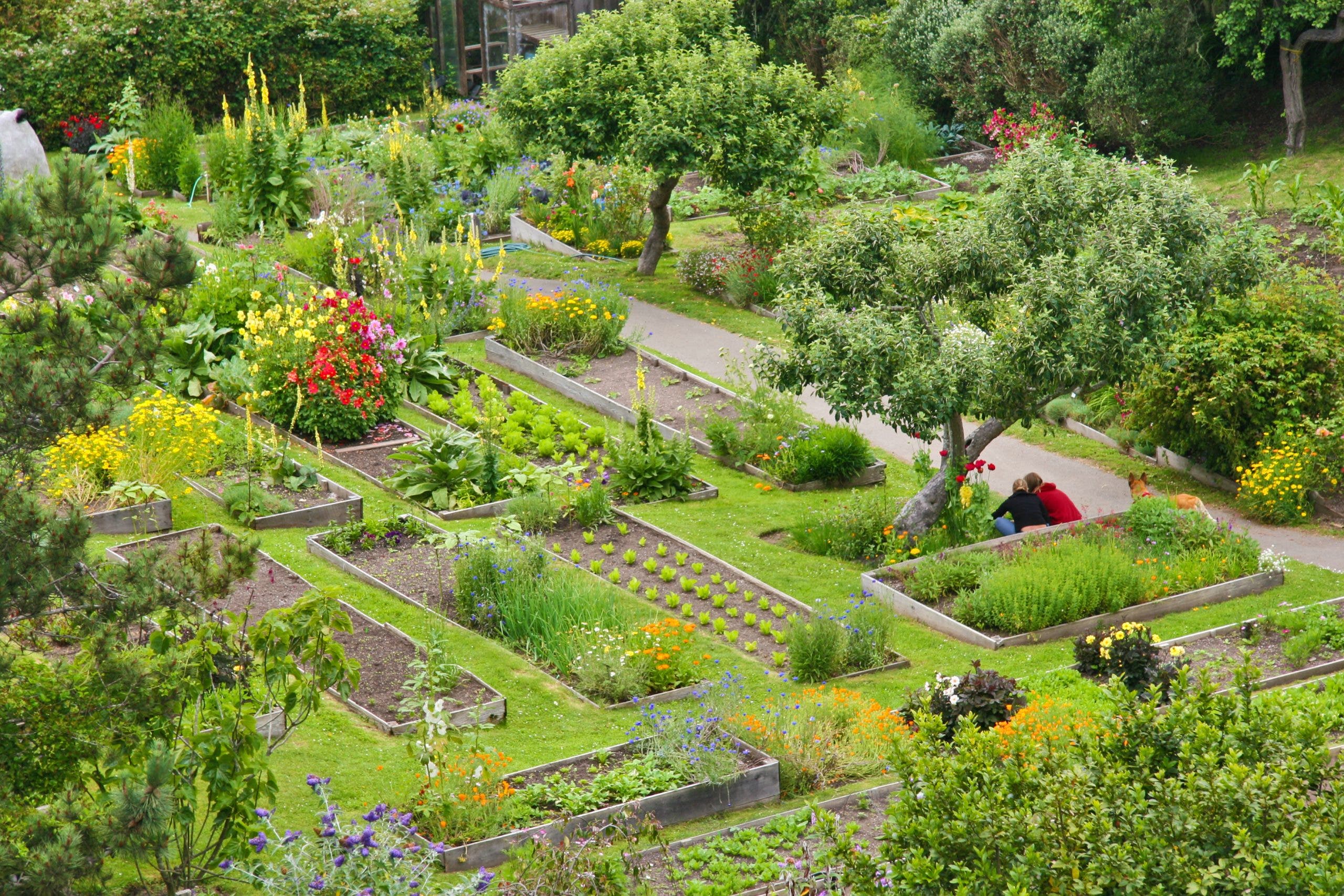 gardens at the Stanford Inn