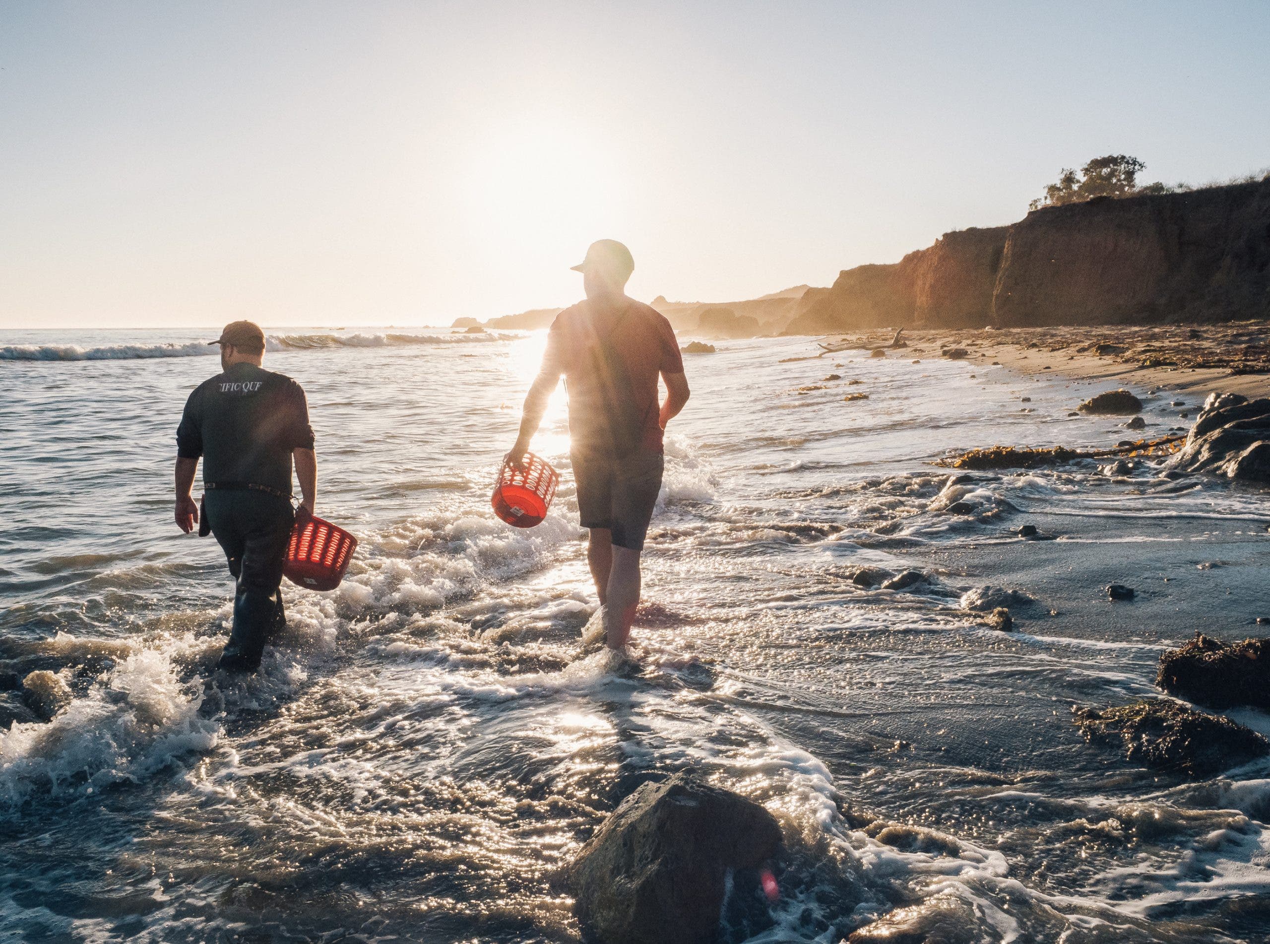 a seaweed foraging class