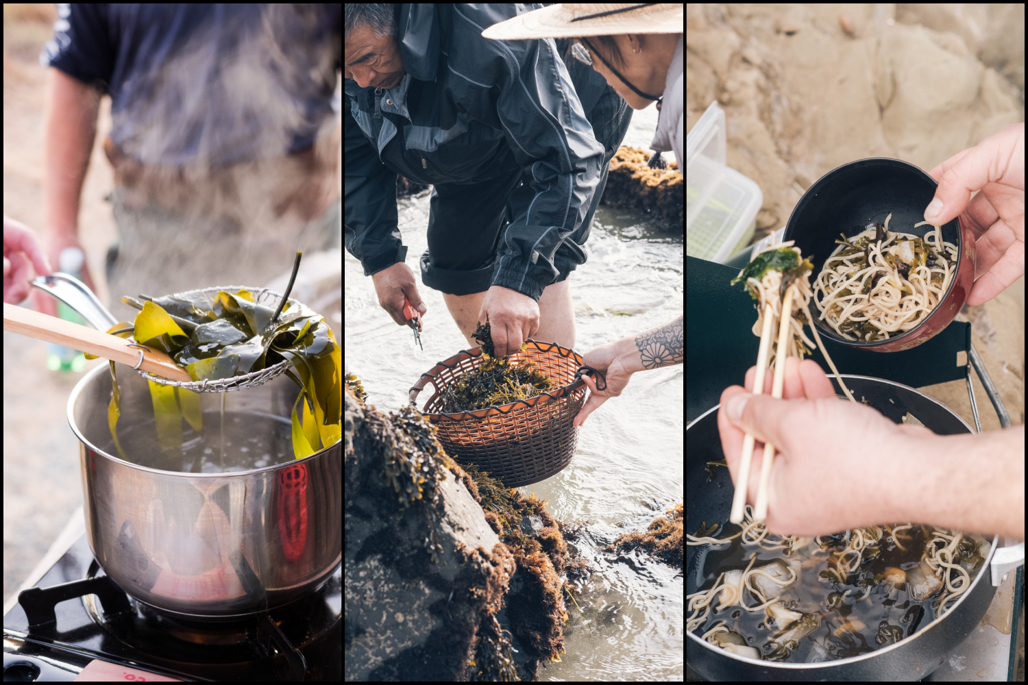 cooking with the harvest of a seaweed foraging class