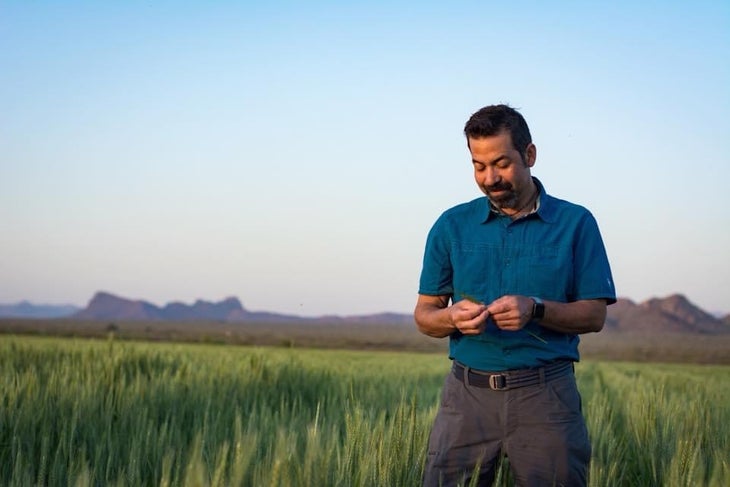 Don Guerra Is on a Mission to Bake Bread That Blurs Borders - The New York  Times