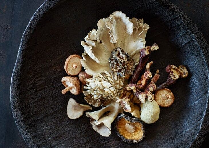 How to Introduce Medicinal Mushrooms to Skeptical Family Members 