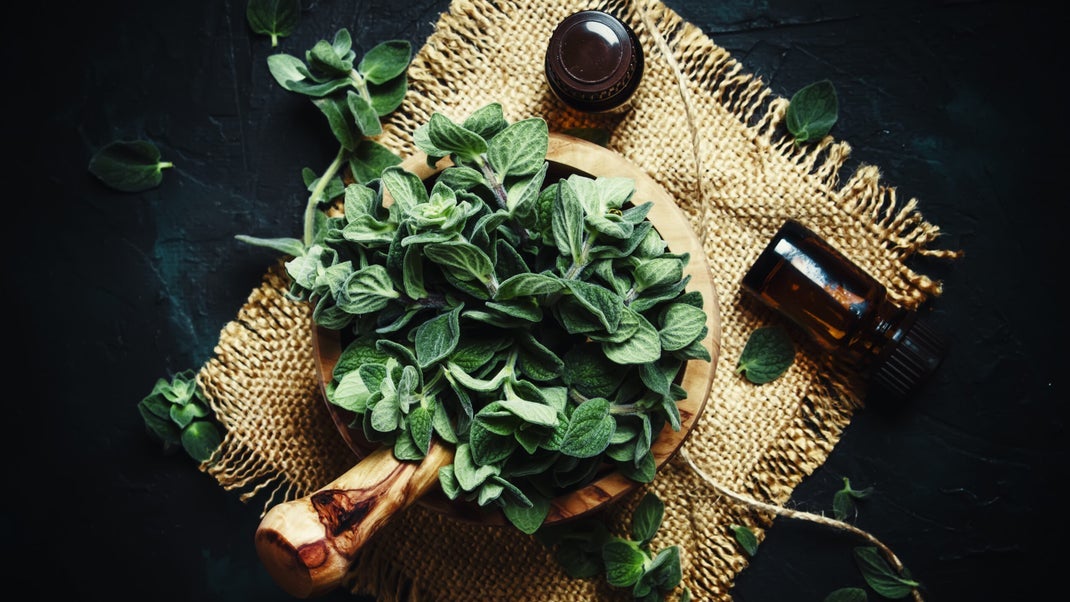 Oregano Oil Could Prevent Yeast Infections and Provide Other Benefits