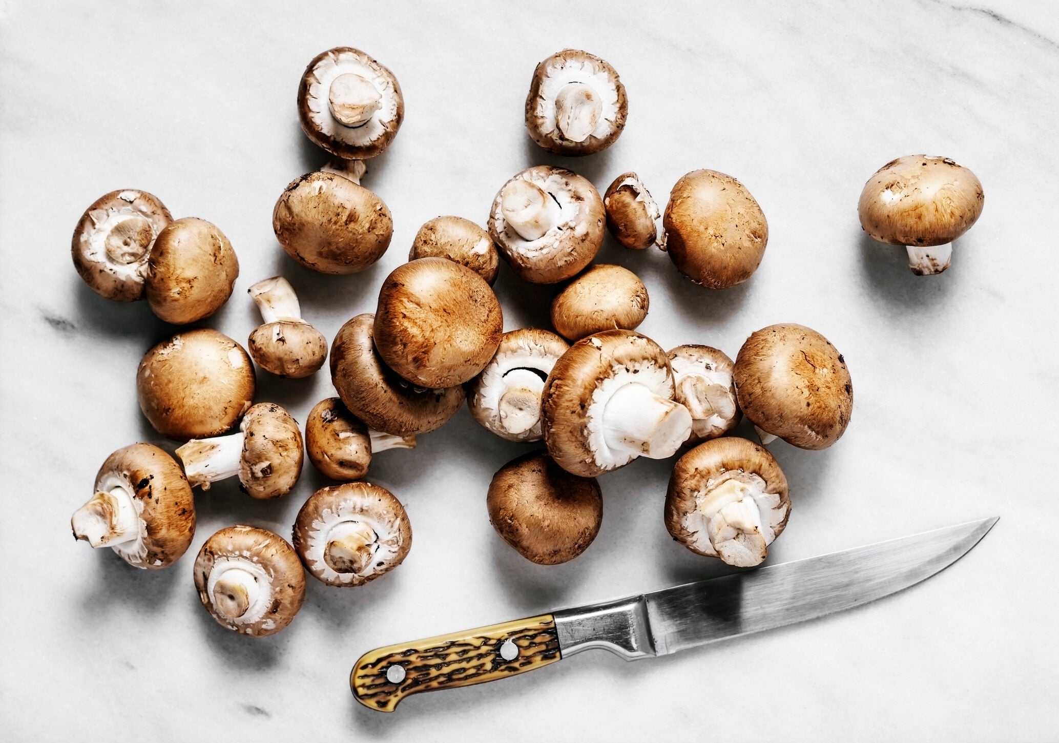 best mushroom recipes
