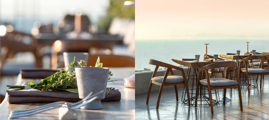 opson restaurant vegetarian greek cuisine