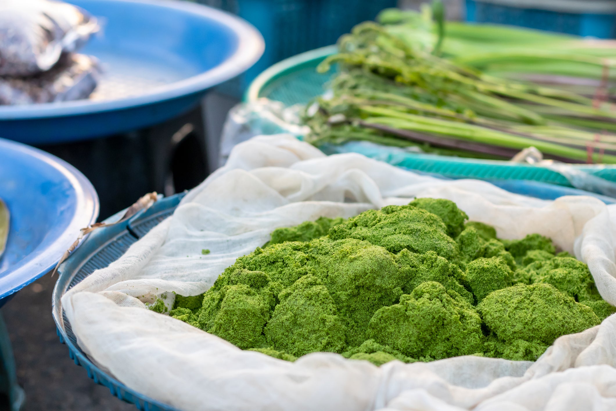 Wolffia globosa what is maknai