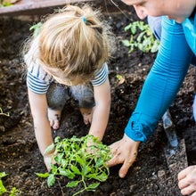 vegan parenting plant based kids gardening