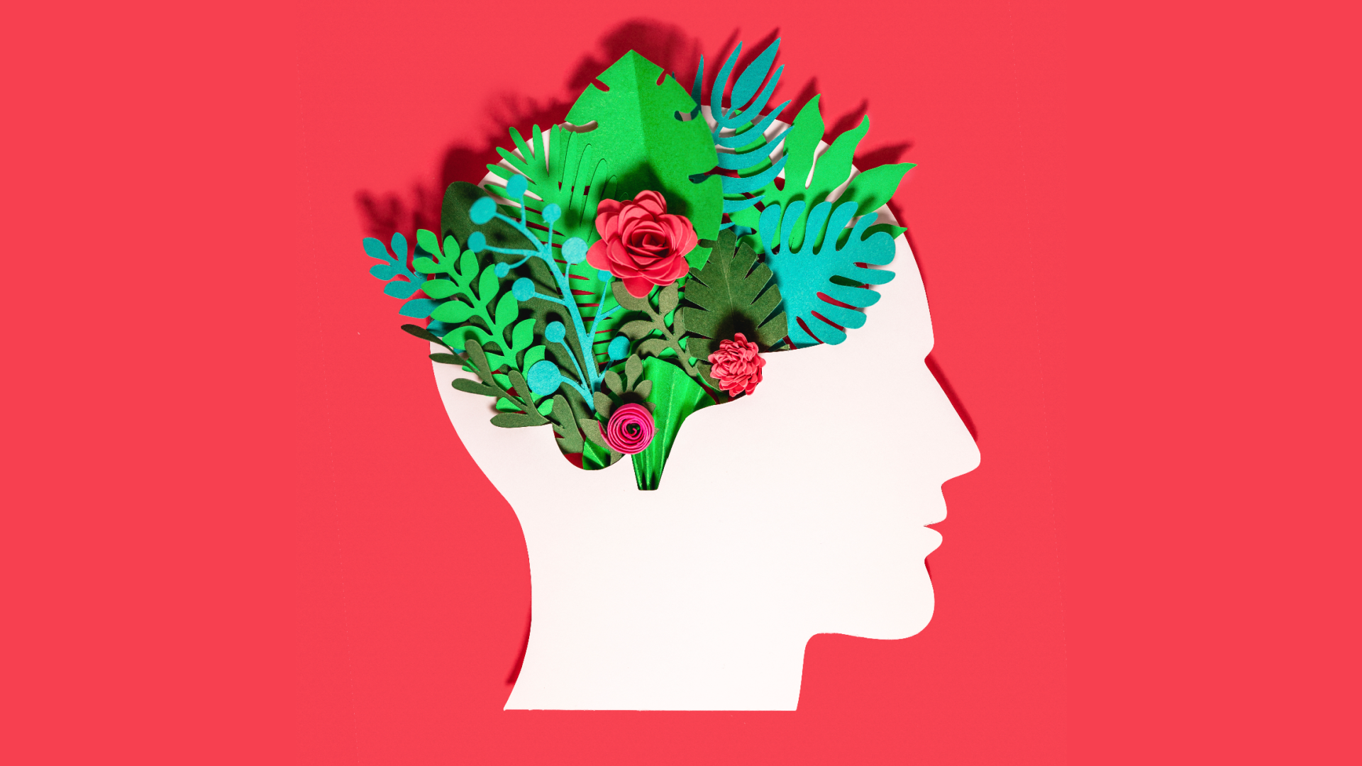 brain fog brain health mental health