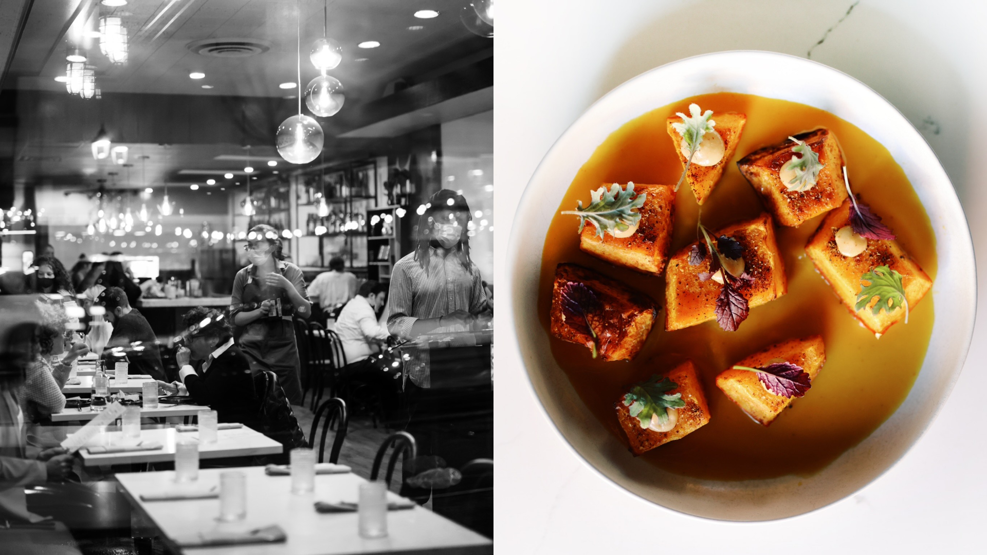 Radici Dom's Brian Ricciardi