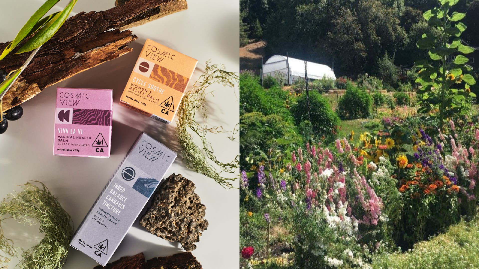 cosmic view sustainable cannabis brands