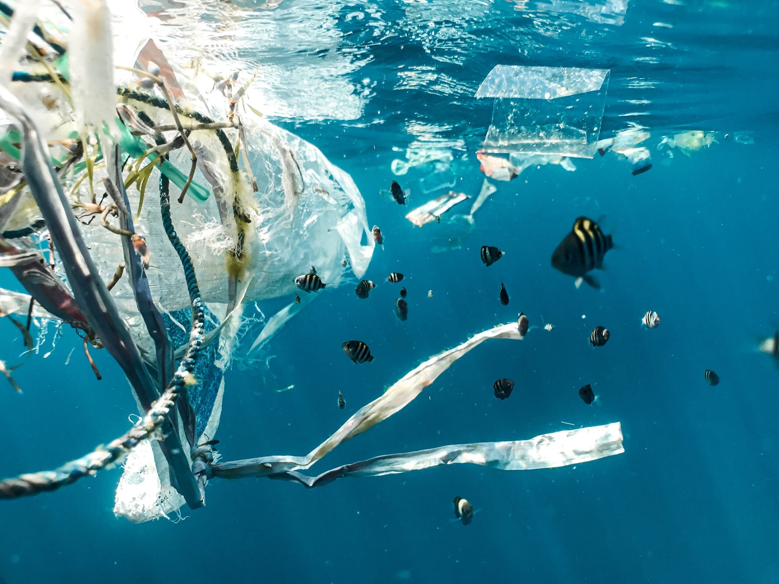 greenwashing water pollution oceans plastic