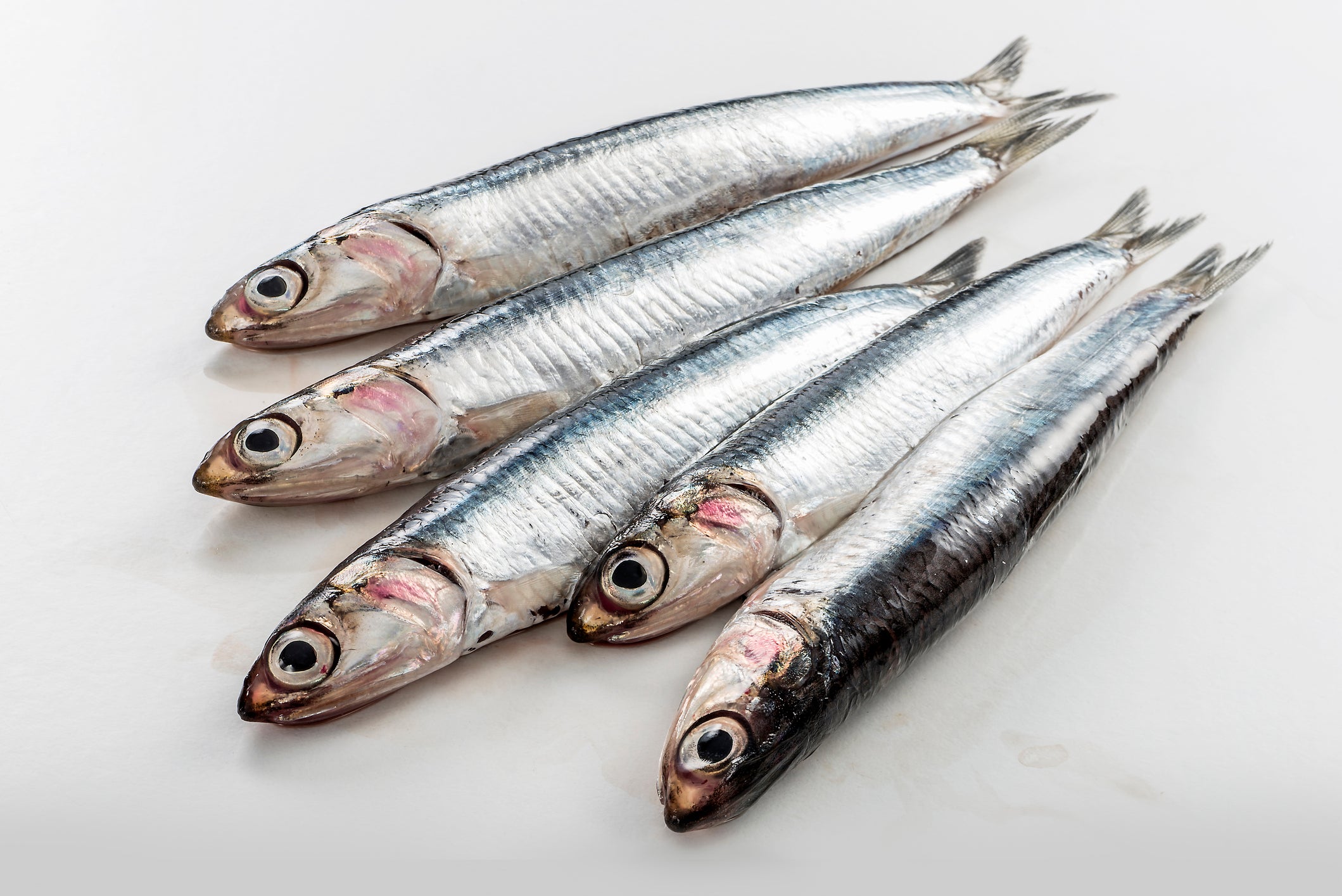 Anchovies Aren't the Sustainable, Infinite Fish People Seem to Think